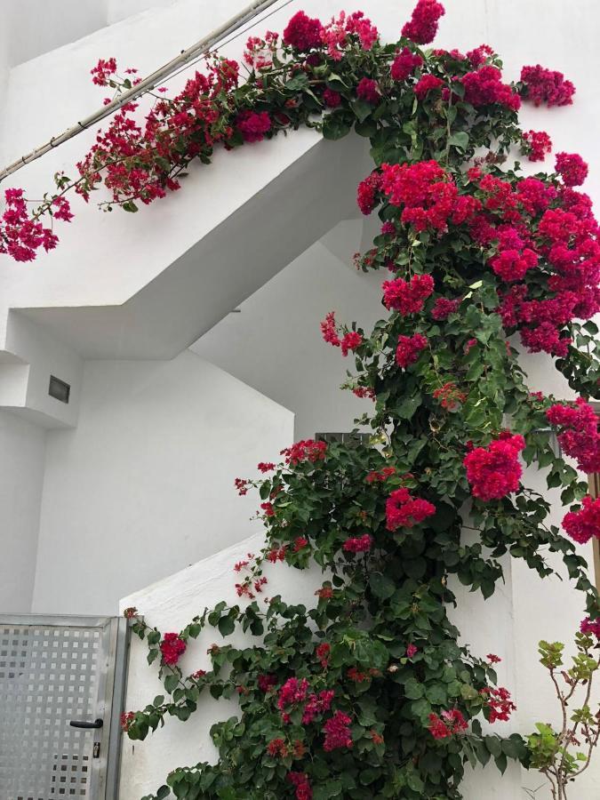 La Ola Appartement *