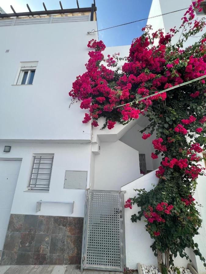 Appartement La Ola *